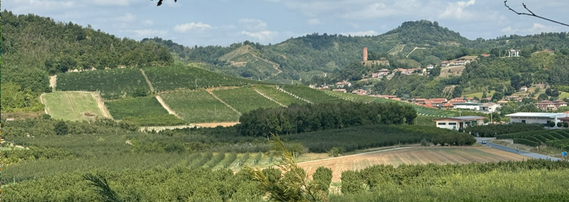 Valdinera