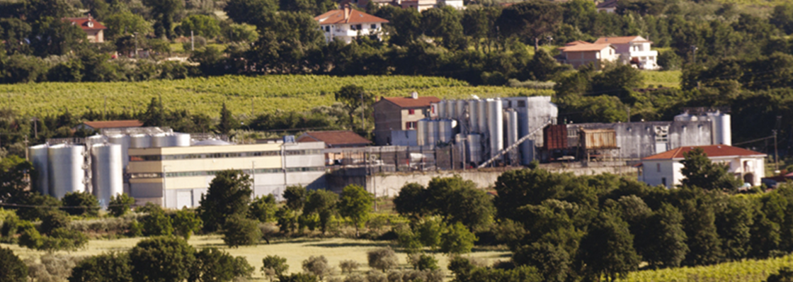 Cantina di Solopaca