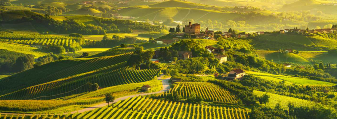 Scatole di Vino