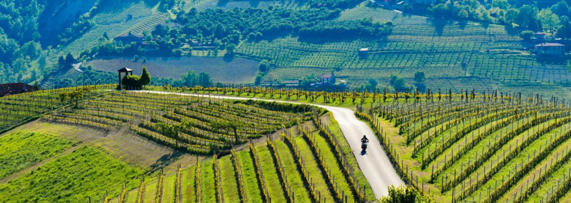 Wines under €10