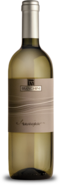 Sauvignon | Rubicone IGP 2024 | Branchini 1858