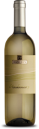 Chardonnay | Rubicone IGP 2023 | Branchini 1858