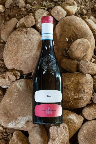 Albino Piona &ndash; Bardolino TOA DOC