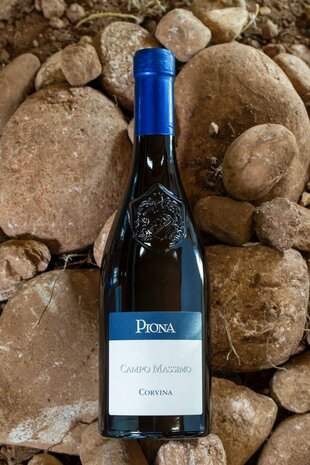 Albino Piona &ndash; Corvina Campo Massimo DOC