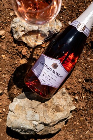 Franciacorta Ros&eacute; Millesimato 2020 DOCG (BIO &ndash; Organic Certified)