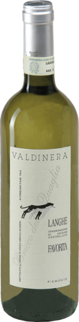 Langhe DOC Favorita 2024 della Quaglia