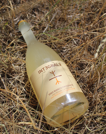 Integrale PetNat Bianco Frizzante &ndash; Organic Unfiltered