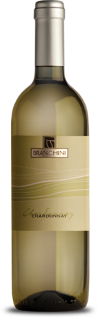 Chardonnay | Rubicone IGP 2023 | Branchini 1858