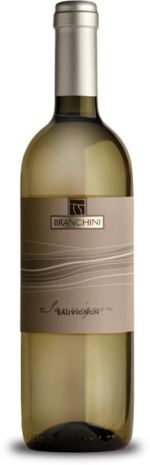 Sauvignon | Rubicone IGP 2024 | Branchini 1858