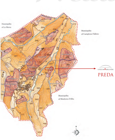 Barolo DOCG &ldquo;Preda&rdquo; 2021 | Cascina Adelaide