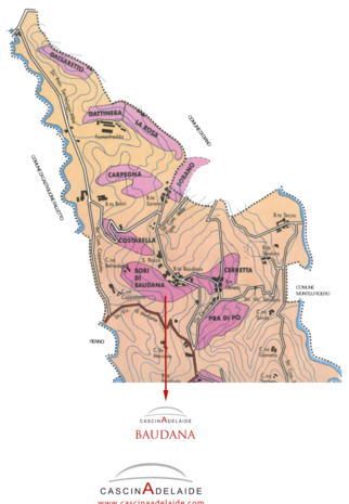 Barolo DOCG &ldquo;Baudana&rdquo; 2020 | Cascina Adelaide