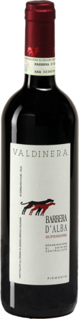 Barbera d&rsquo;Alba DOC Superiore