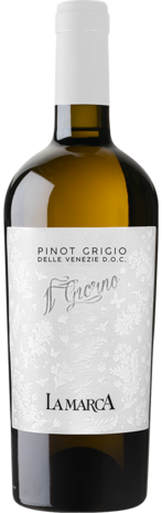 Pinot Grigio Delle Venezie DOC