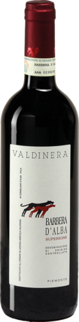 Barbera d&rsquo;Alba DOC Superiore